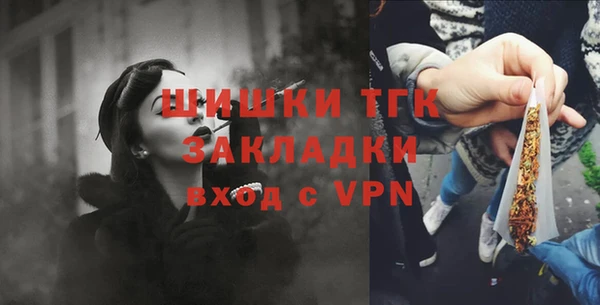 гидра Володарск