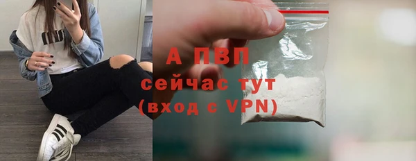 гидра Володарск