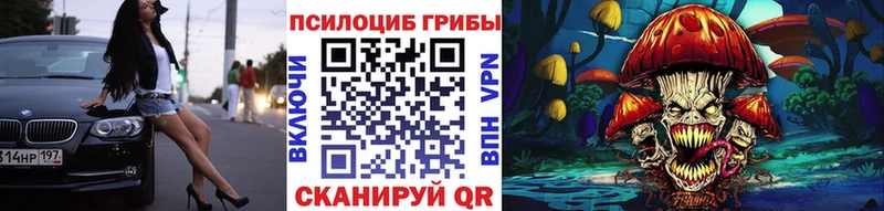 где продают наркотики  Лыткарино  Галлюциногенные грибы Magic Shrooms 